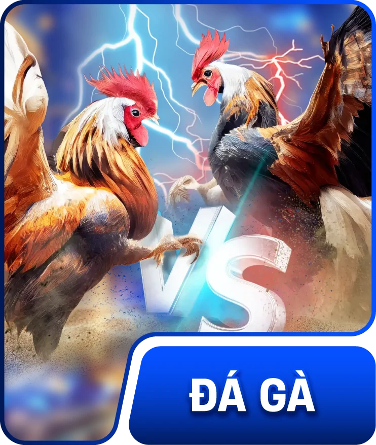 đá gà Fun88